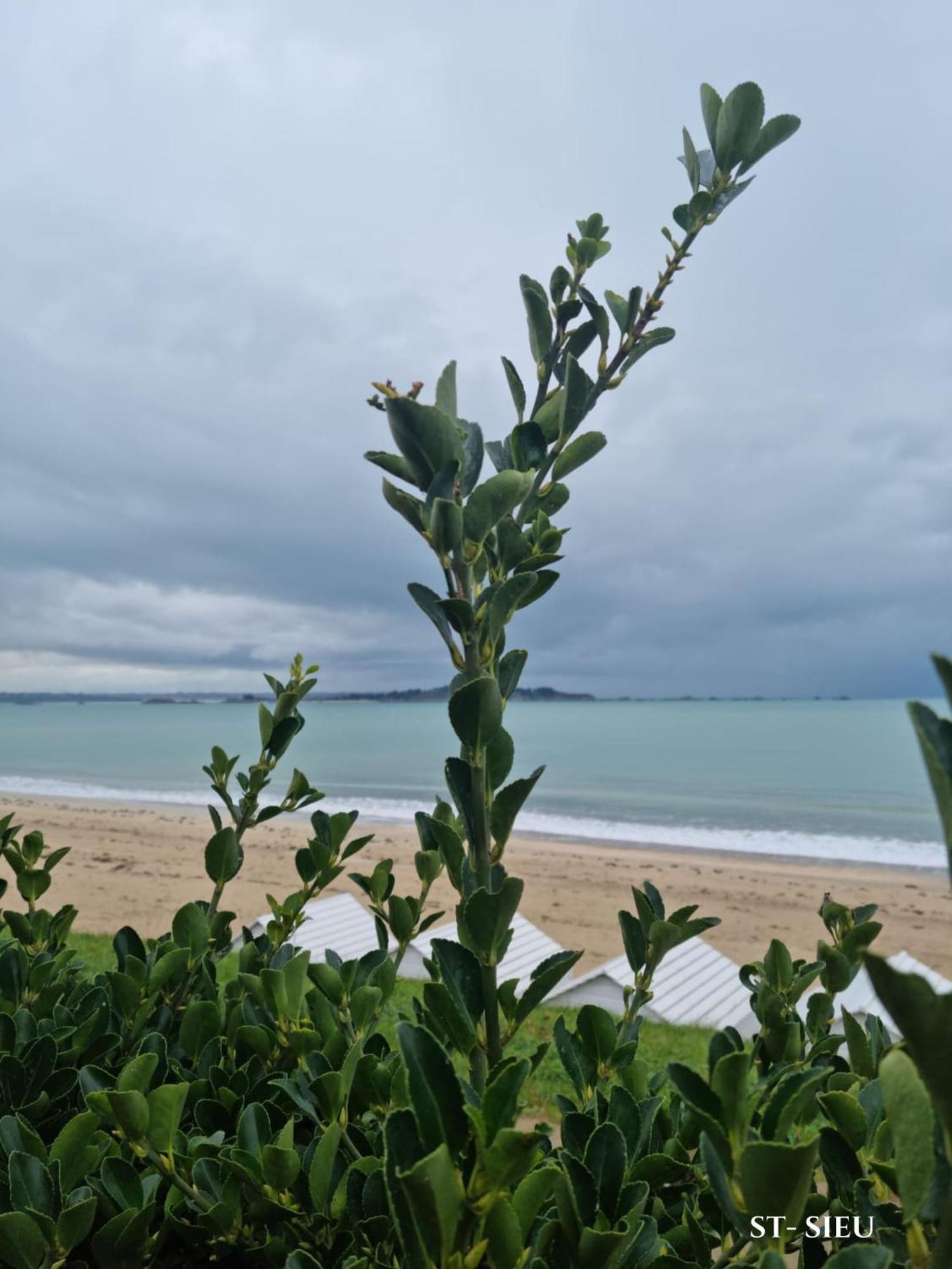 Brise Marine Du Prieure Spacieux Lumineux A 2 Min De La Plage Dinard Eksteriør bilde